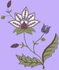 free designs