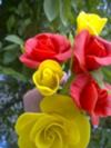 mixed color cold porcerlain roses